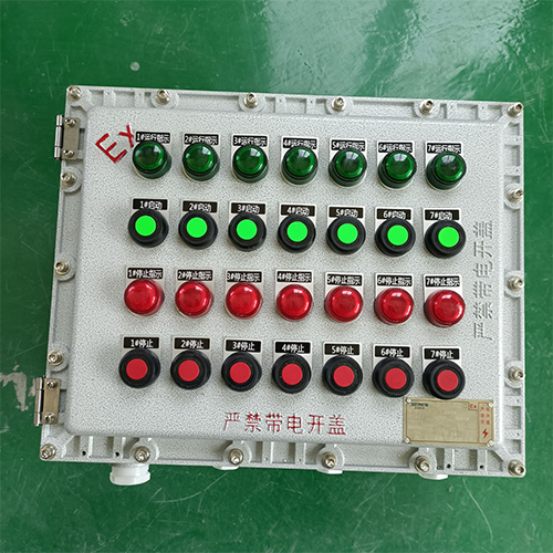 粉塵車間防爆開關(guān)按鈕控制箱